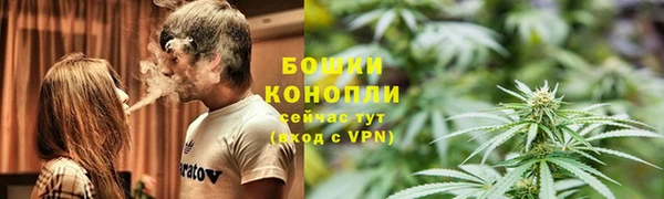 ГАЛЛЮЦИНОГЕННЫЕ ГРИБЫ Осинники