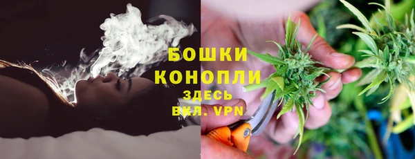 сатива Аркадак