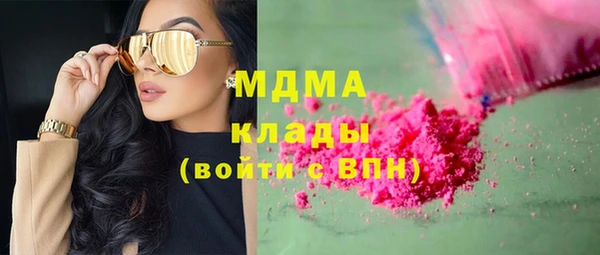 индика Арсеньев