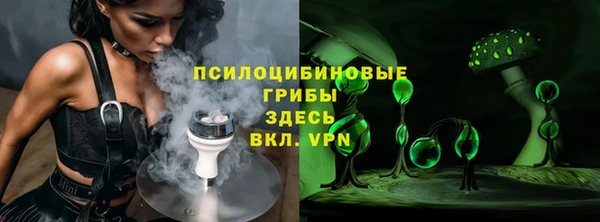 индика Арсеньев