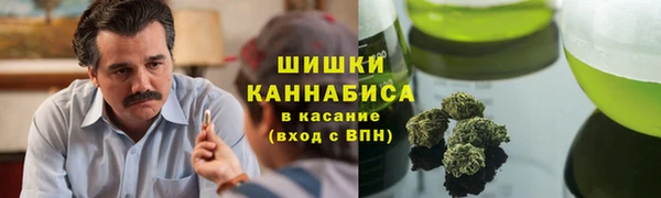 сатива Аркадак