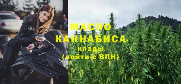 индика Арсеньев