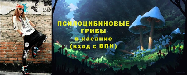 индика Арсеньев