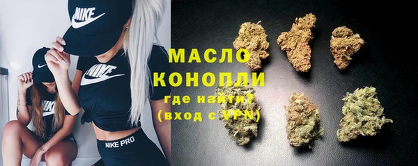 индика Арсеньев