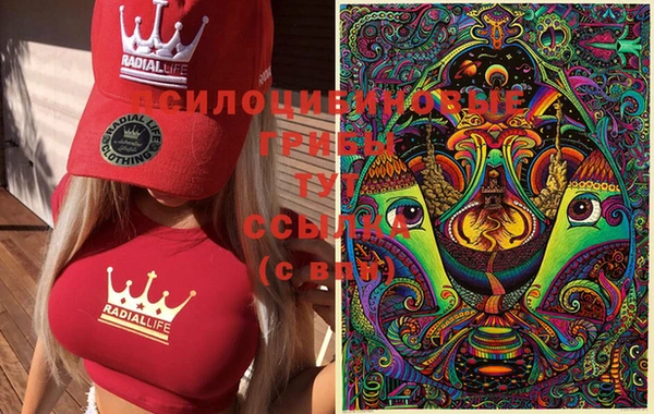 сатива Осташков