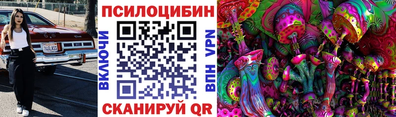 omg ONION  Приволжск  Псилоцибиновые грибы Magic Shrooms 